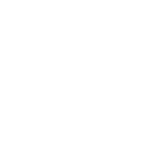 Four-Seasons-Logo (1)-min